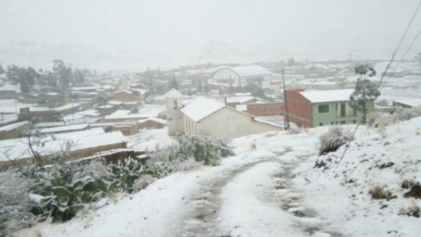 Frío extremo en Bolivia: 92 municipios en desastre por heladas y miles de familias afectadas